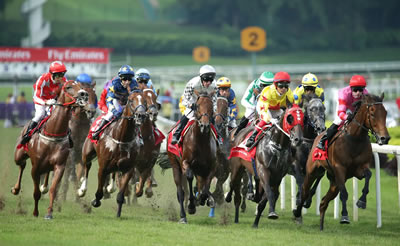 horse racing