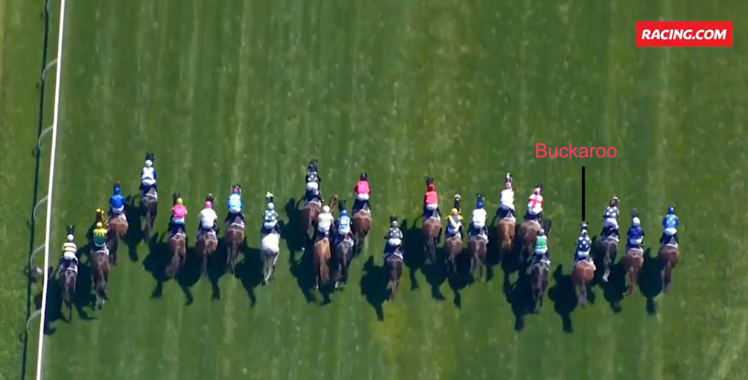 melb Cup 2024 start